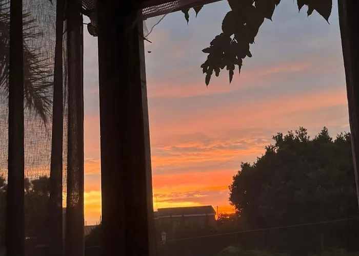 Vic Grao de Castellon